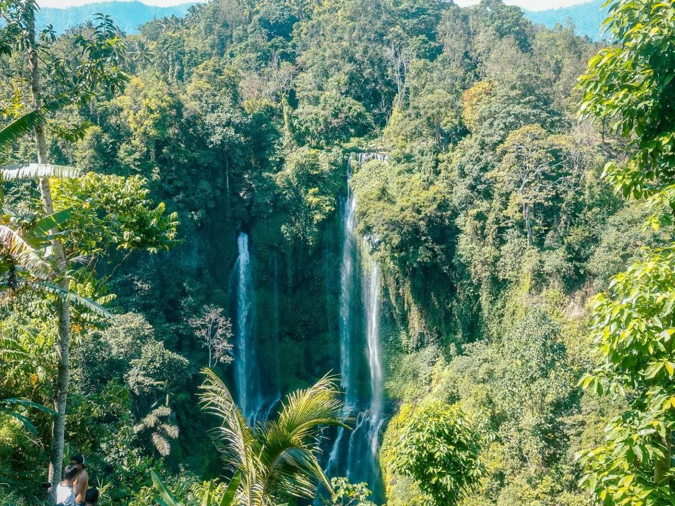 Top 5 des plus belles cascades à Bali 5