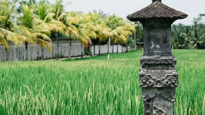 10 choses à faire autour de Ubud à Bali 3