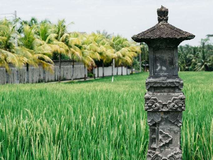 10 choses à faire autour de Ubud à Bali 2