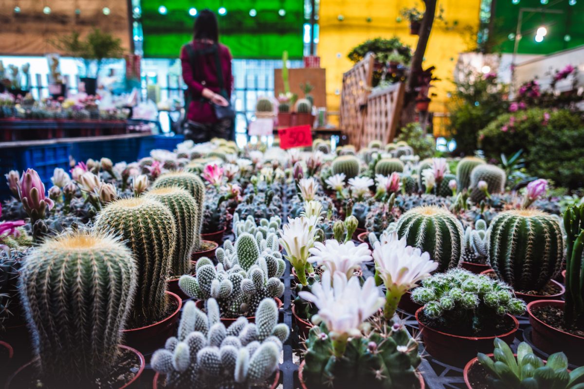 10 choses à faire à Taipei pour un séjour atypique 14